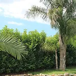 La Nuova Fattoria Lizzano (Apulia)